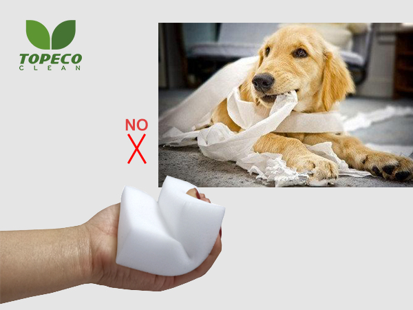 Magic Eraser Dog Ate - Topecoclean